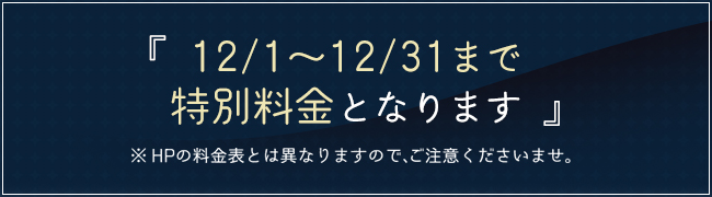 特別料金